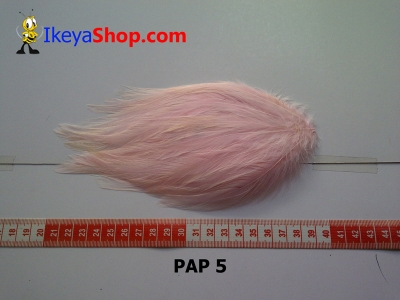 bulu PAD polos PAP 5   feather  large2